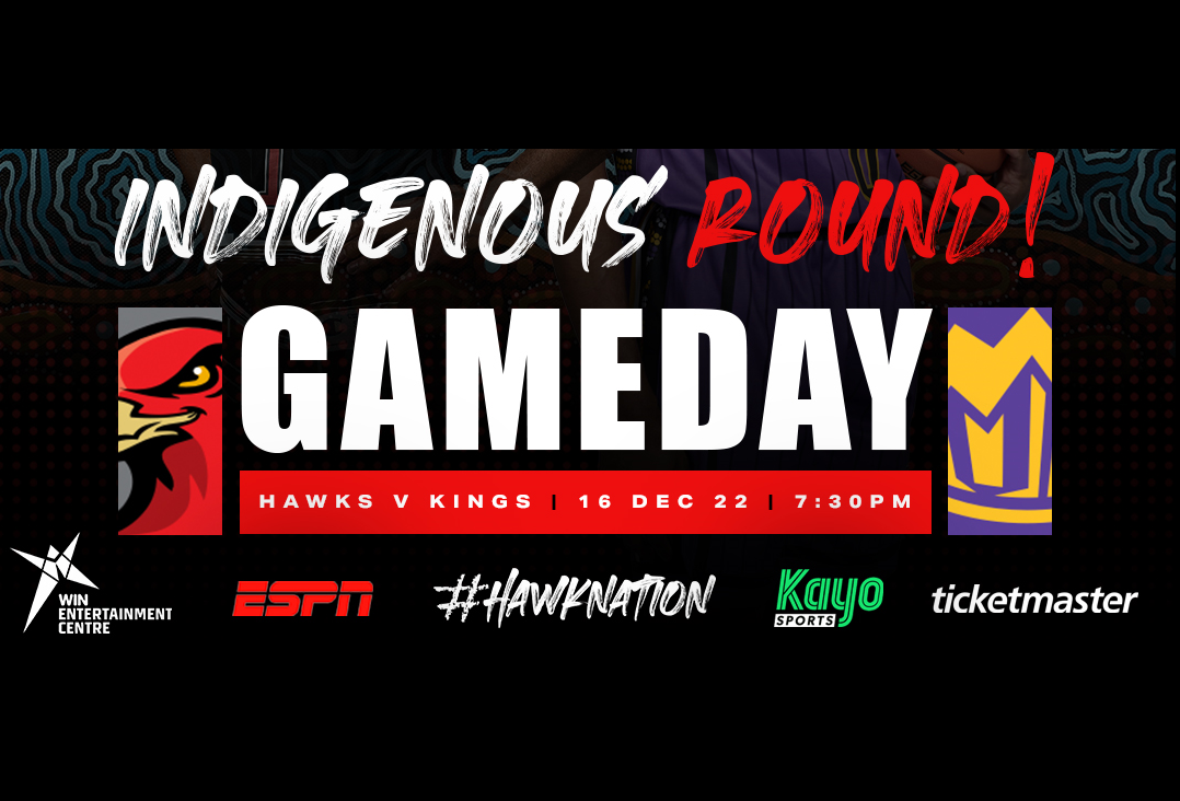 Round 11: Hawks vs Kings Guide