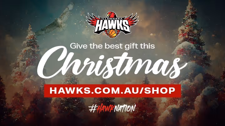 A Hawks Christmas this Christmas