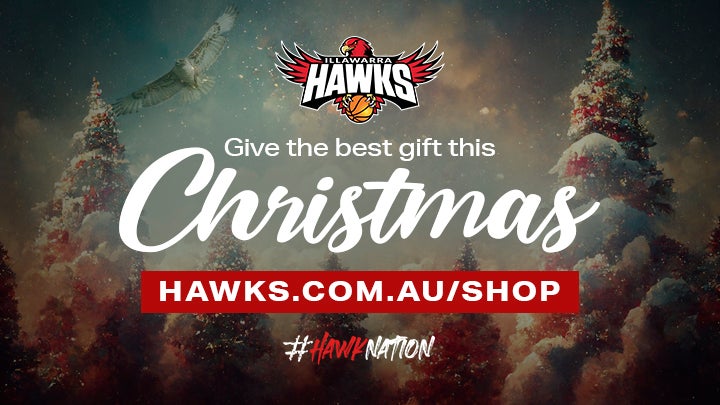 A Hawks Christmas this Christmas