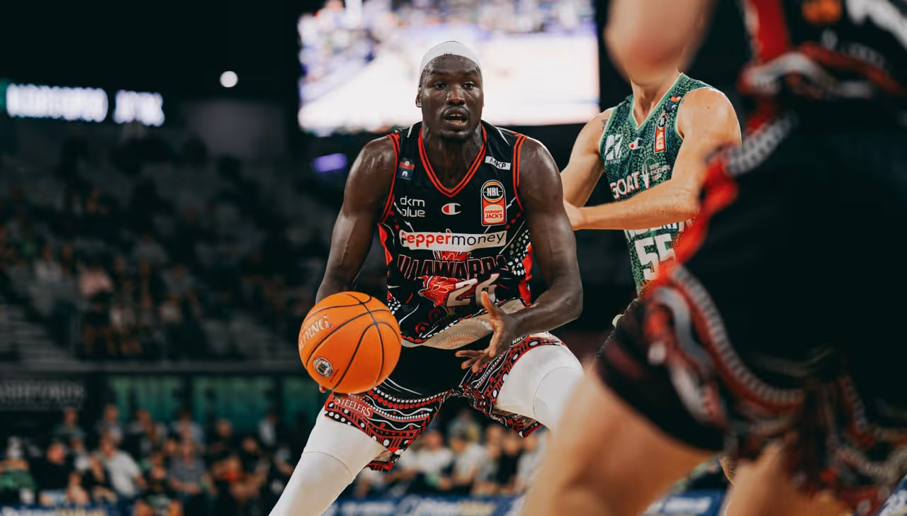 Illawarra Hawks vs South East Melbourne Phoenix round 14 highlights