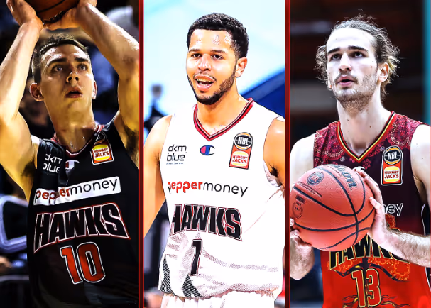 Hawks putting in the work before a return to the nest