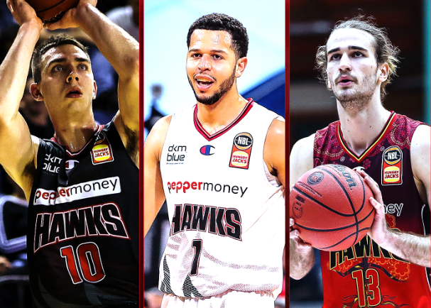 Hawks putting in the work before a return to the nest