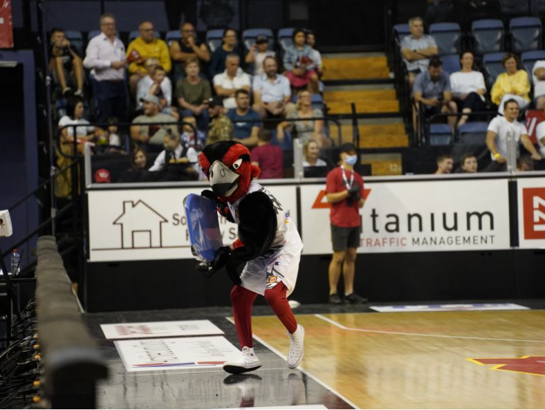 The Hidden Hawkhead v6 - Who and what will be on their radar today?