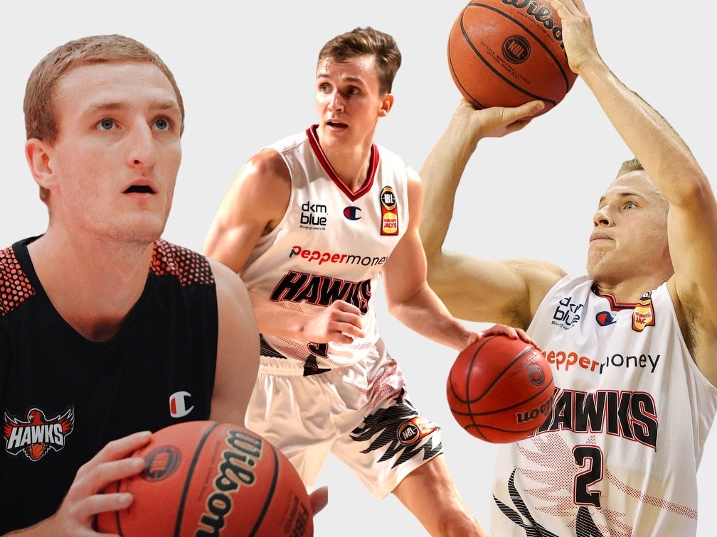 Good Vibrations: White, Grida, Naar, and the development of the Hawks beach boys