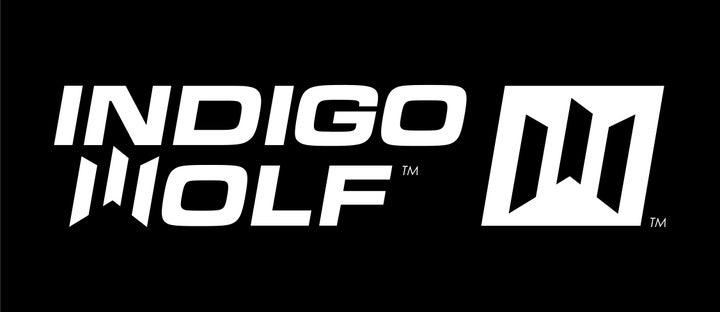 Iw Sportswear Logos 05