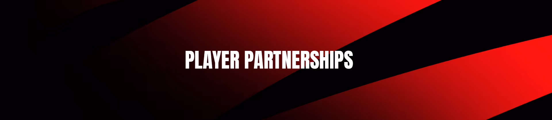 Player Partnerships