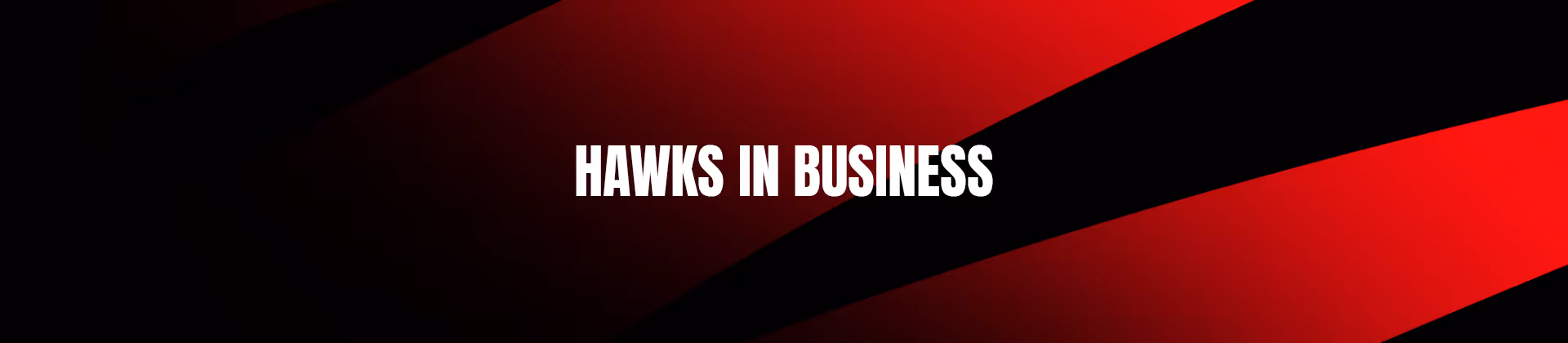 Hawks In Business