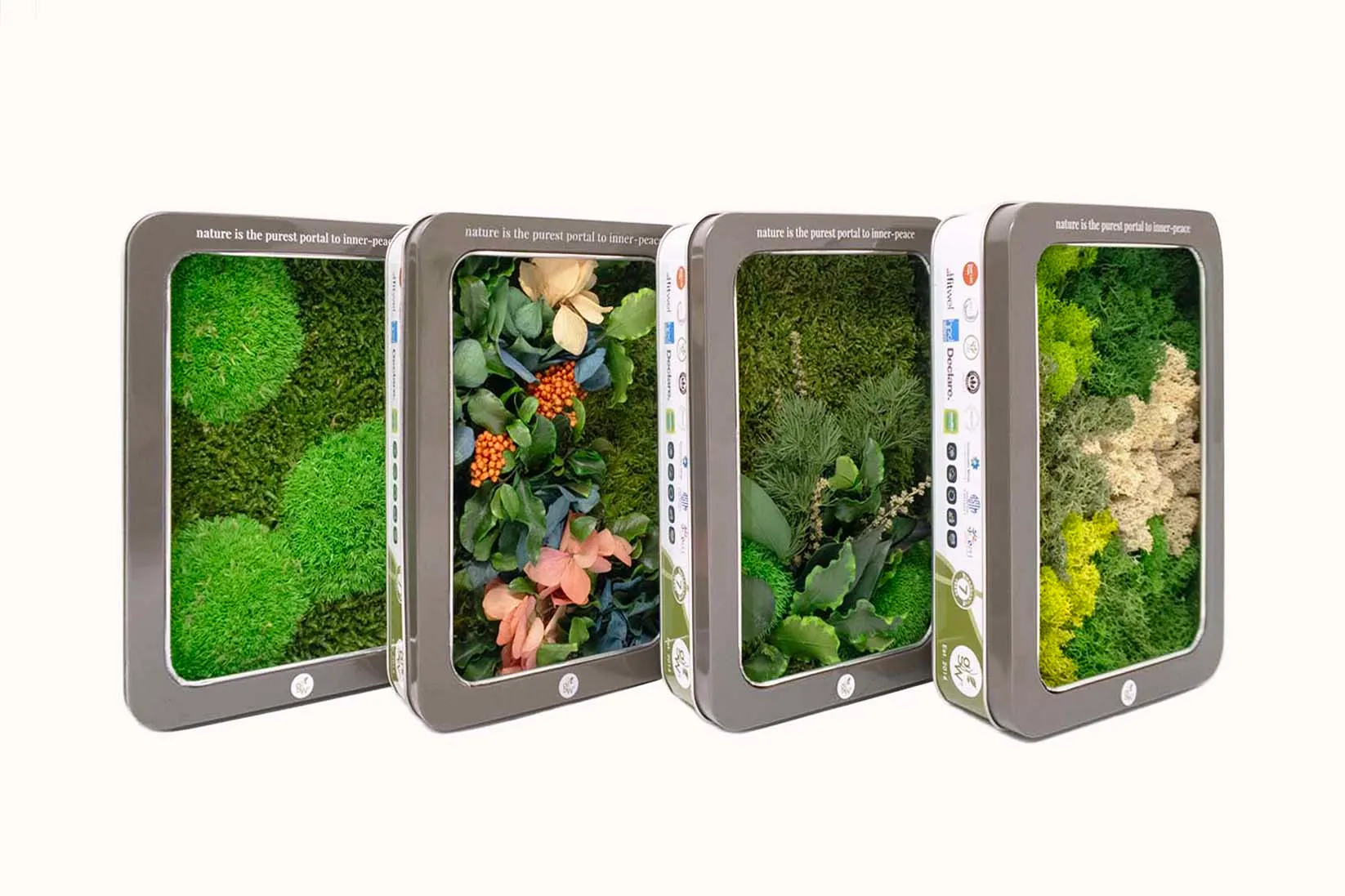 Garden on the Wall background