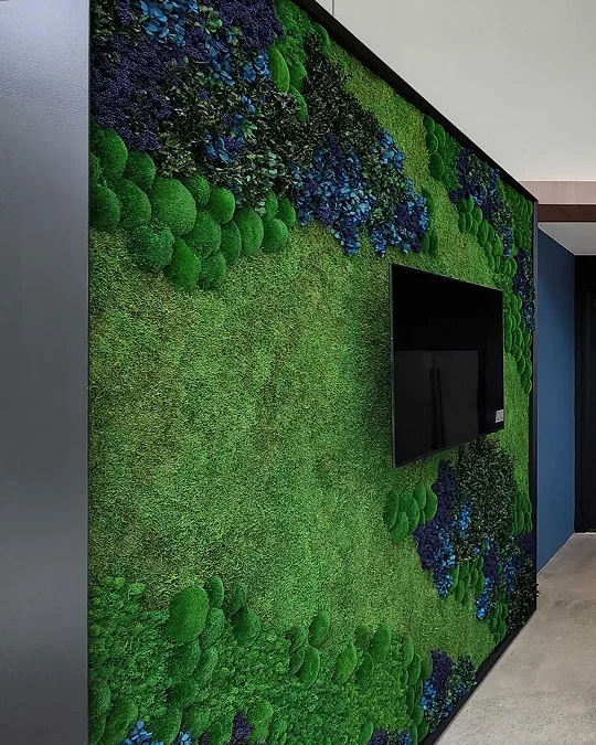 Garden on the Wall Background Image