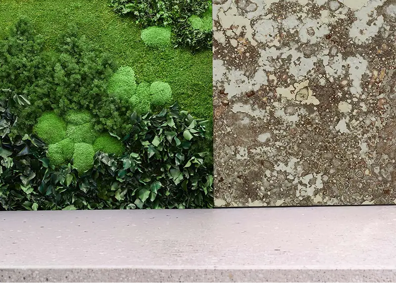 Garden on the Wall Background Image