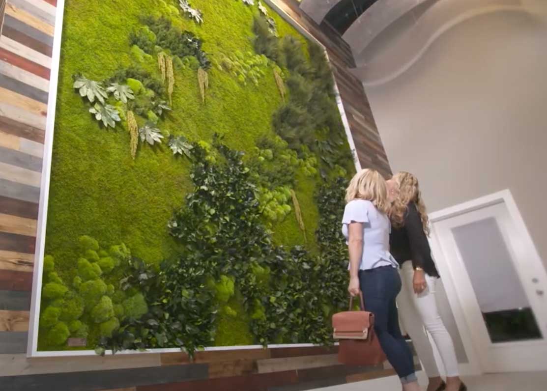 Garden on the Wall® Introduction Video