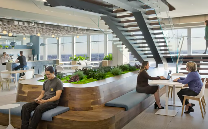 Introducing Garden on the Wall® Planter Inserts