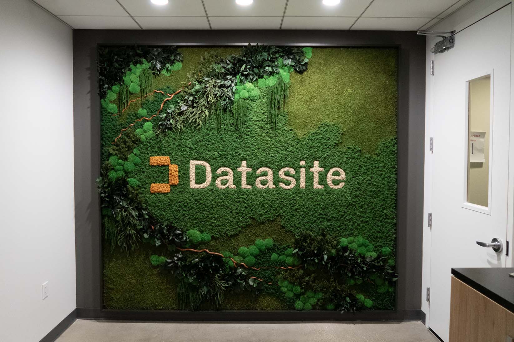 Garden on the Wall Background Image
