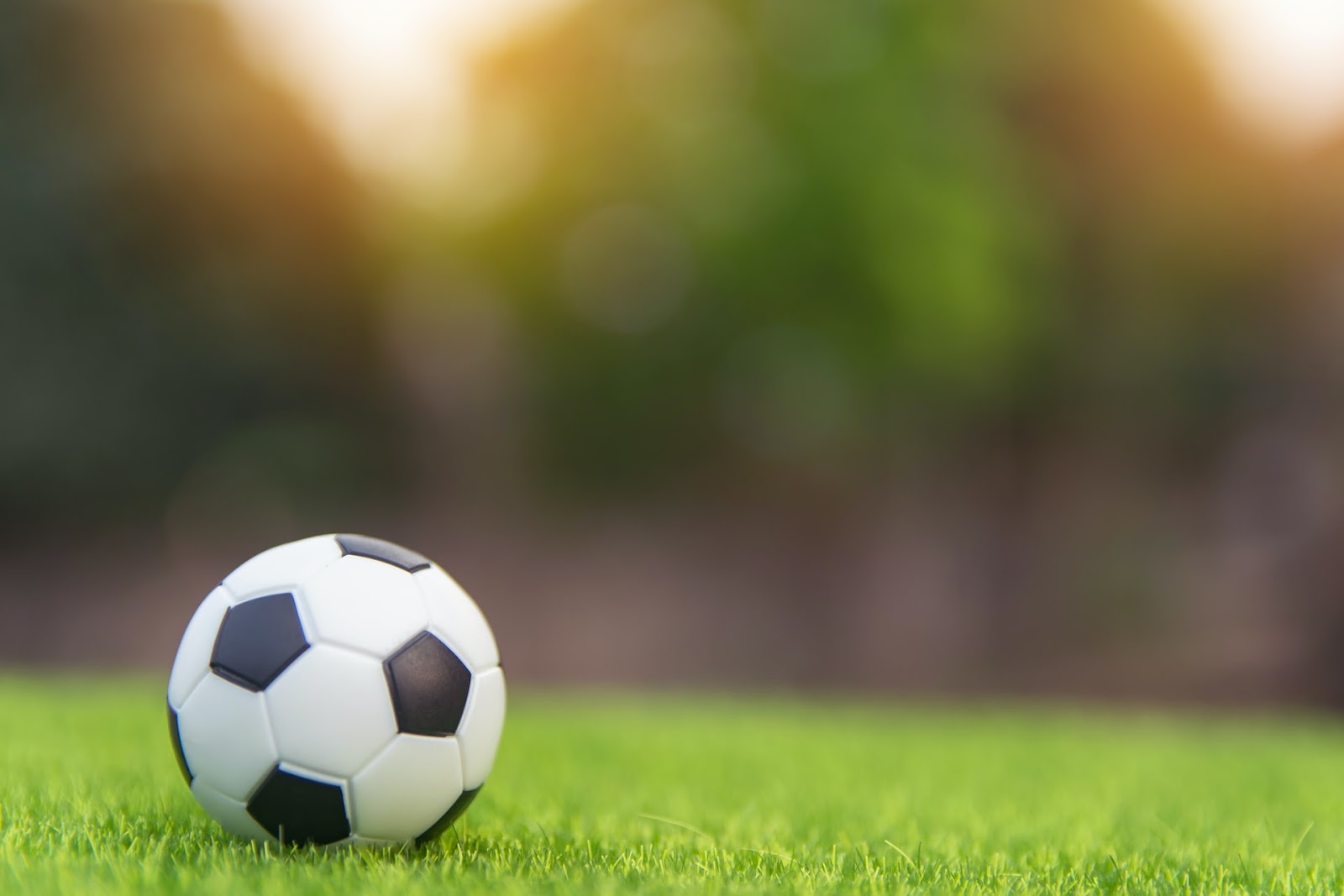 soccer ball on field of grass