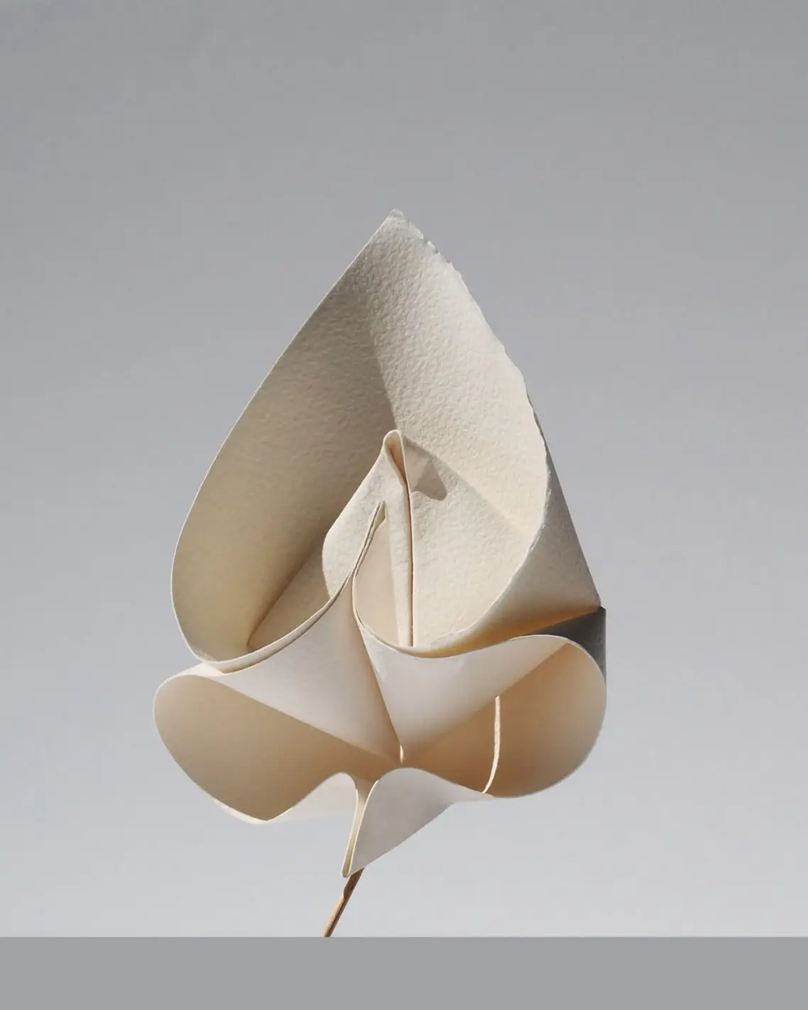 Flower origami 1