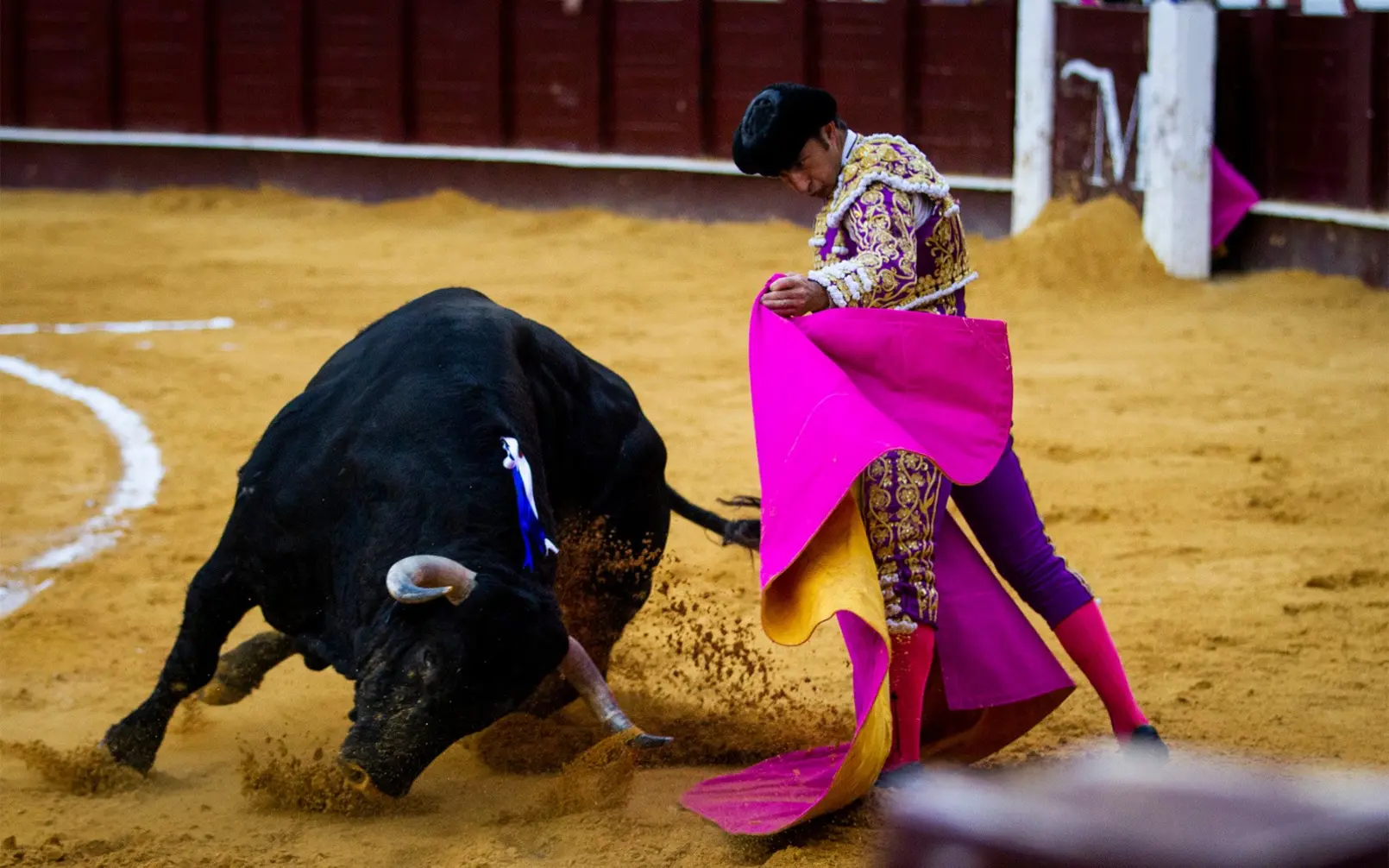 bullfight2
