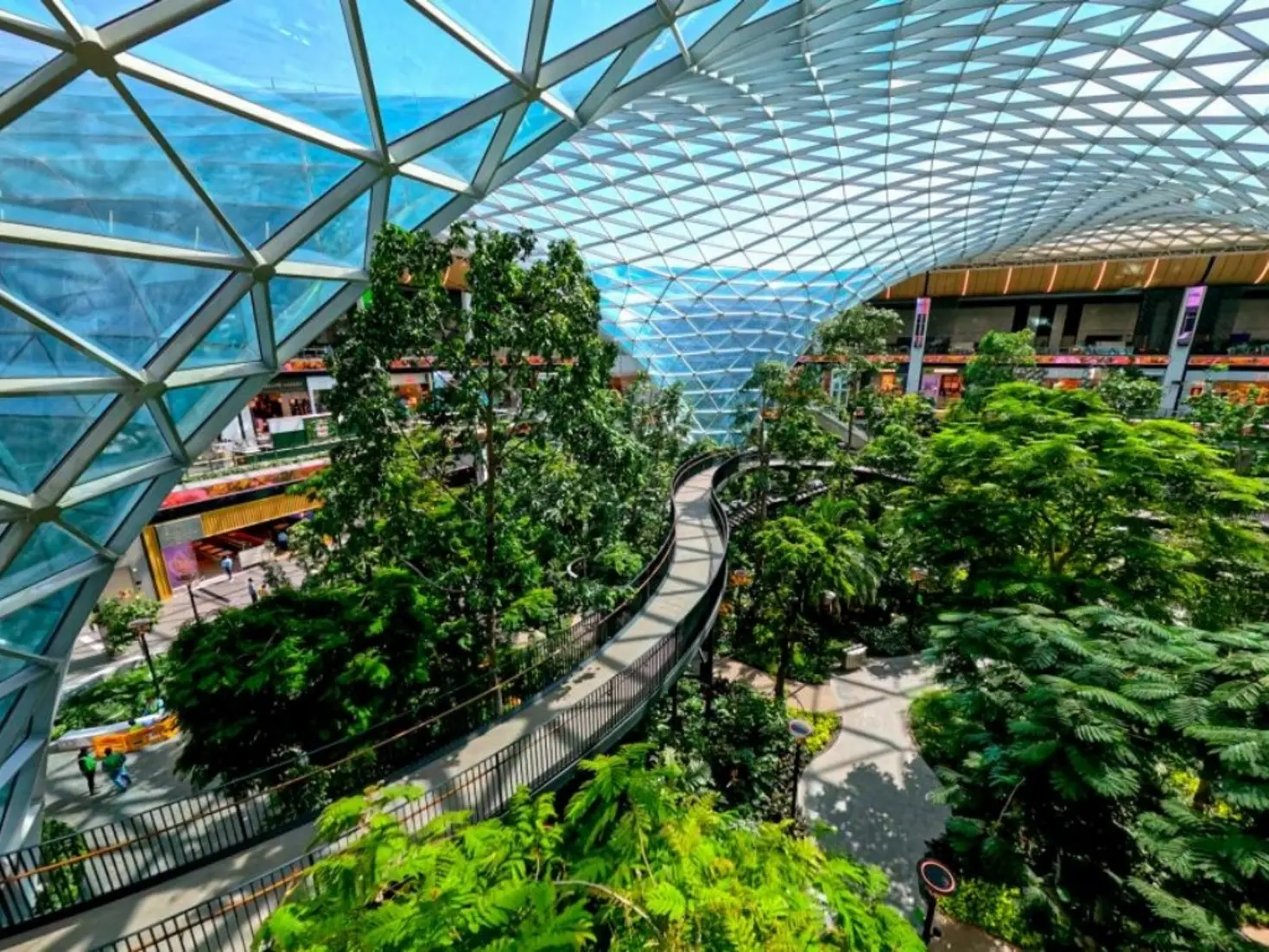 Changi Airport's indoor garden