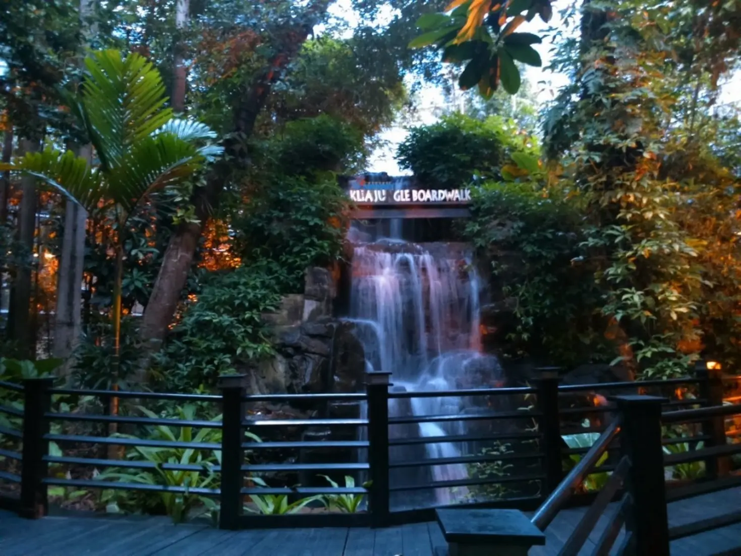 Tropical rainforest witin the satellite terminal