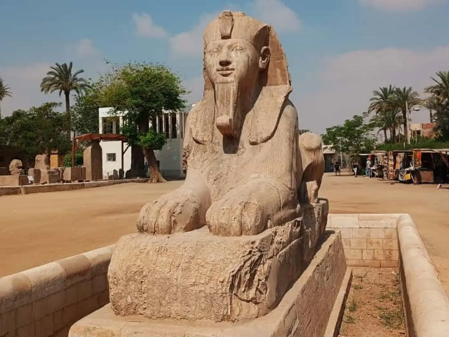 Memphis Sphinx