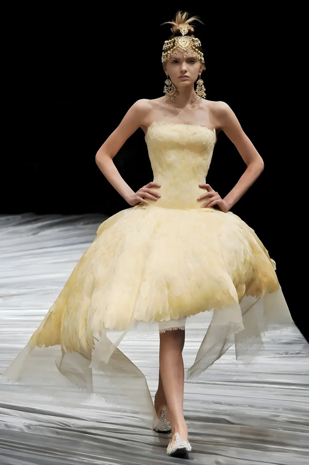 Alexander McQueen Fall 2008