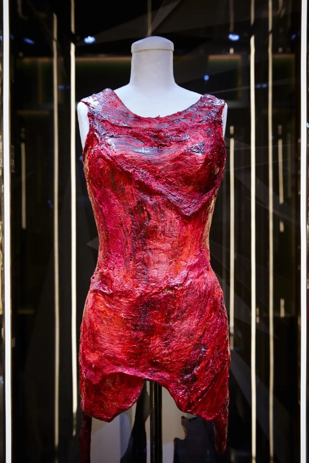 Close-up detail of the meat dress