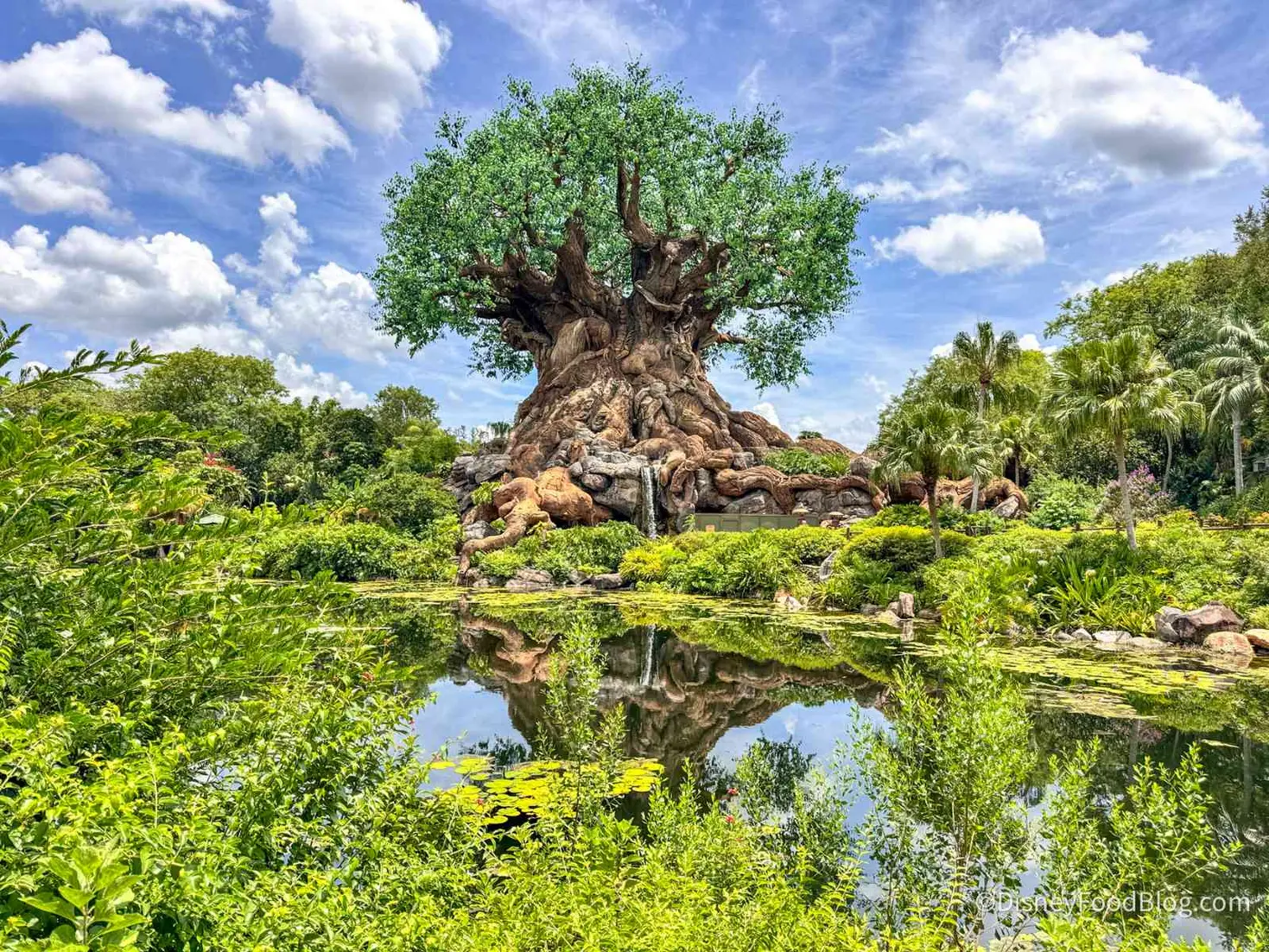 Disney's Animal Kingdom