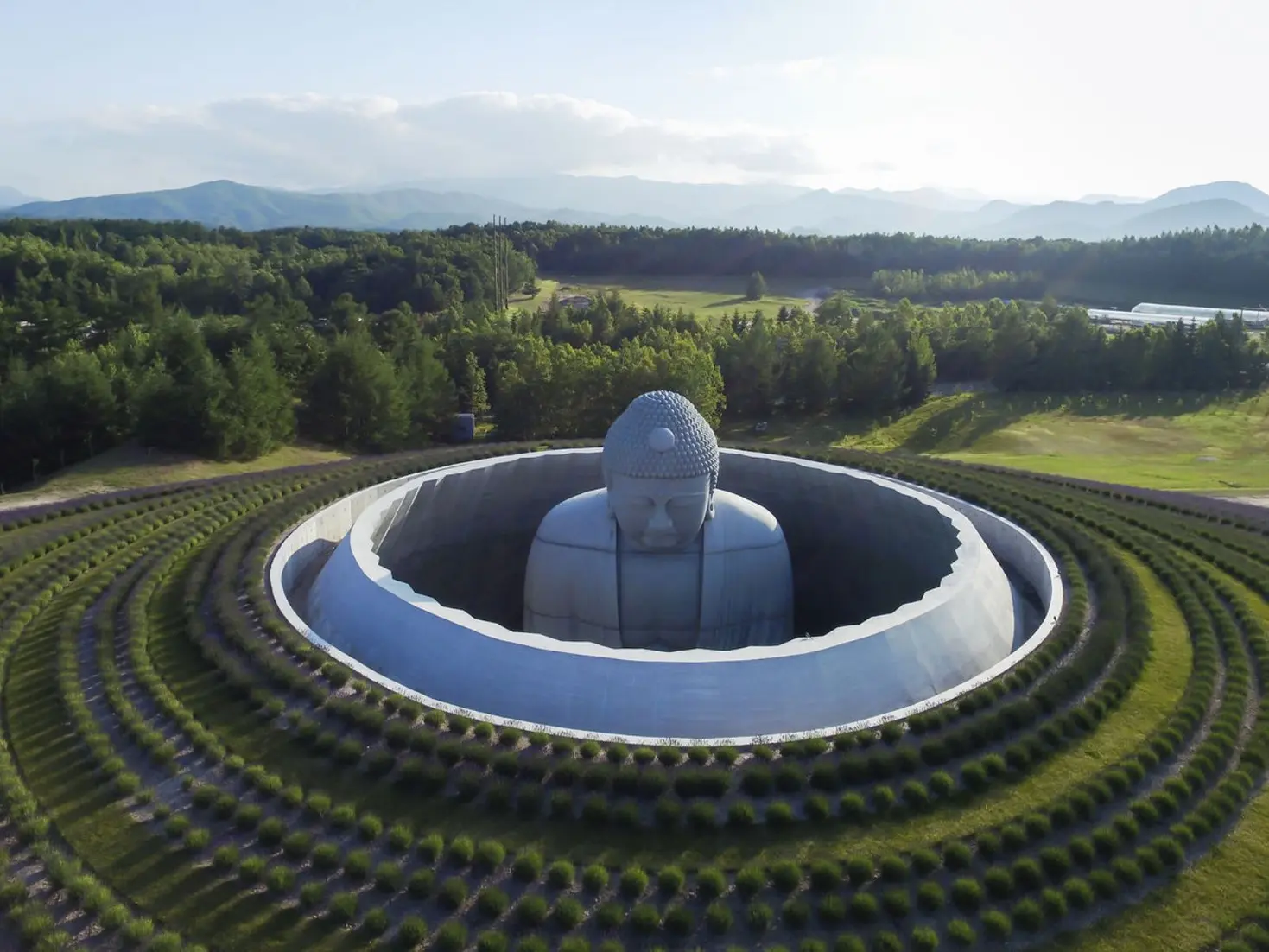 The Hill of the Buddha