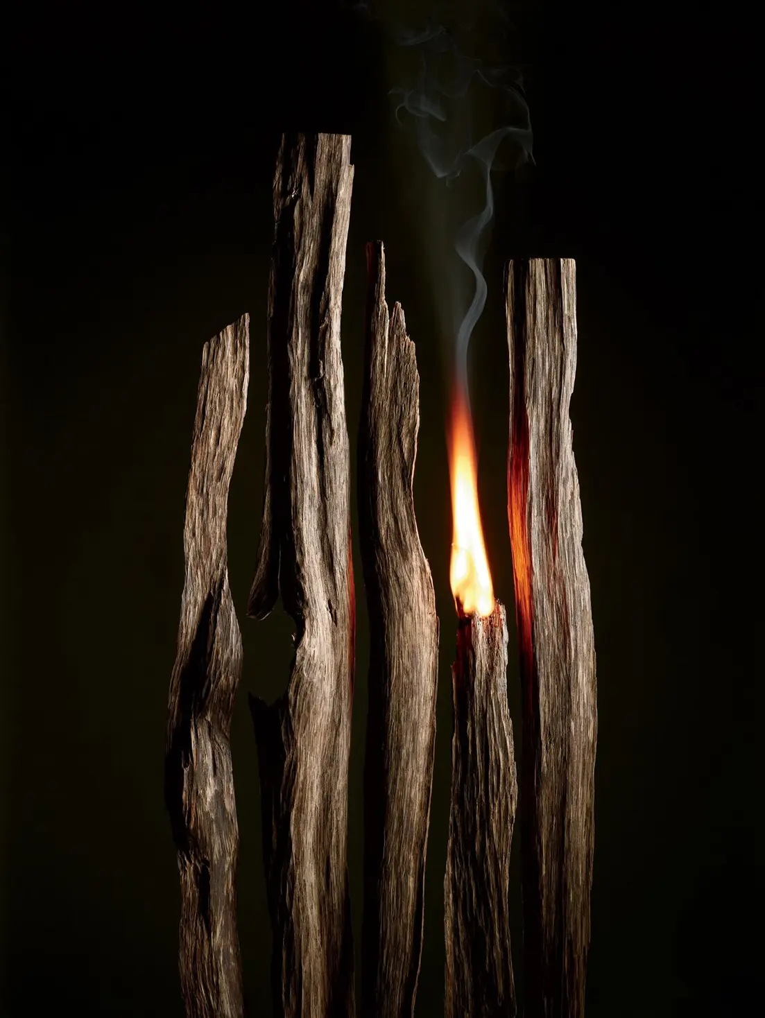 Hollywood Beauty: Burning cedar