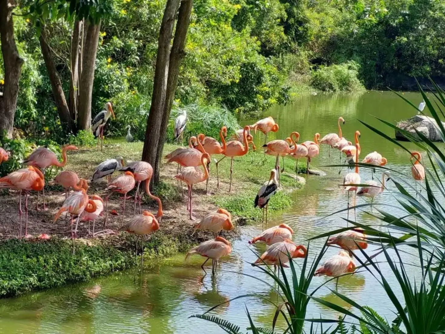 Phu Quoc National Park