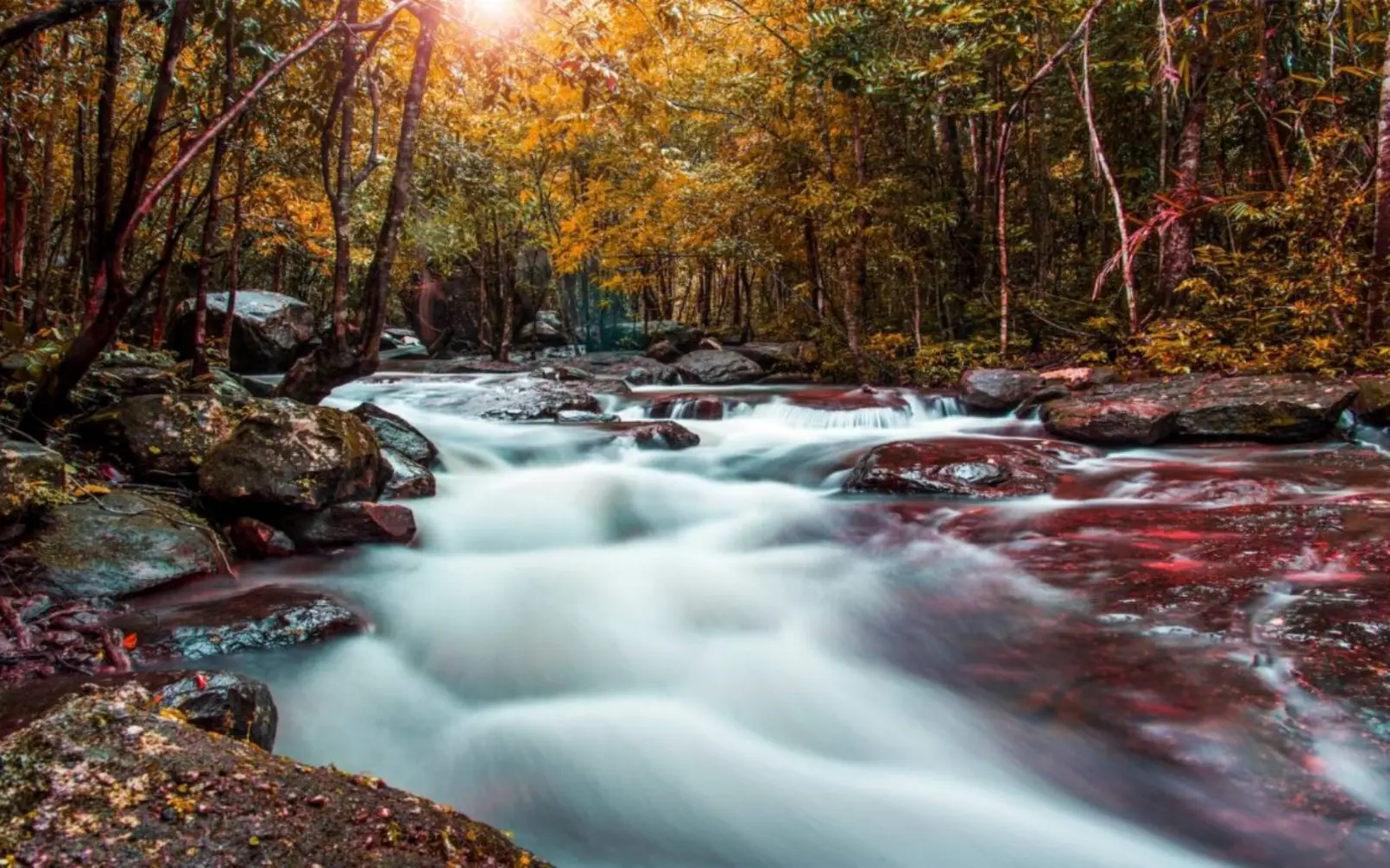 Phu Quoc National Park4