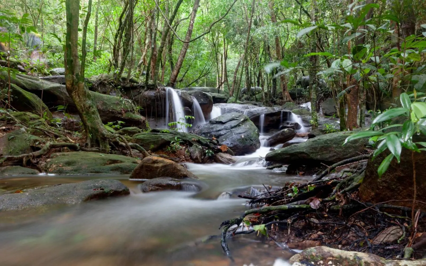 Phu Quoc National Park3