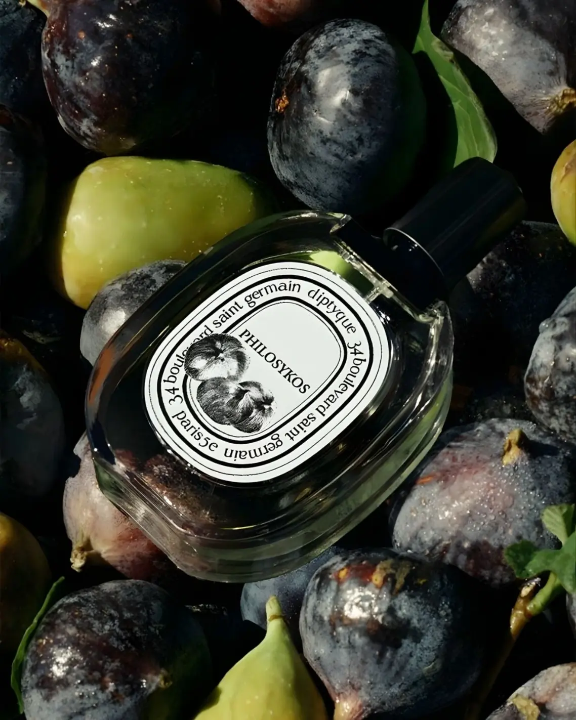 Single-Note Fragrances: Diptyque Philosykos 1