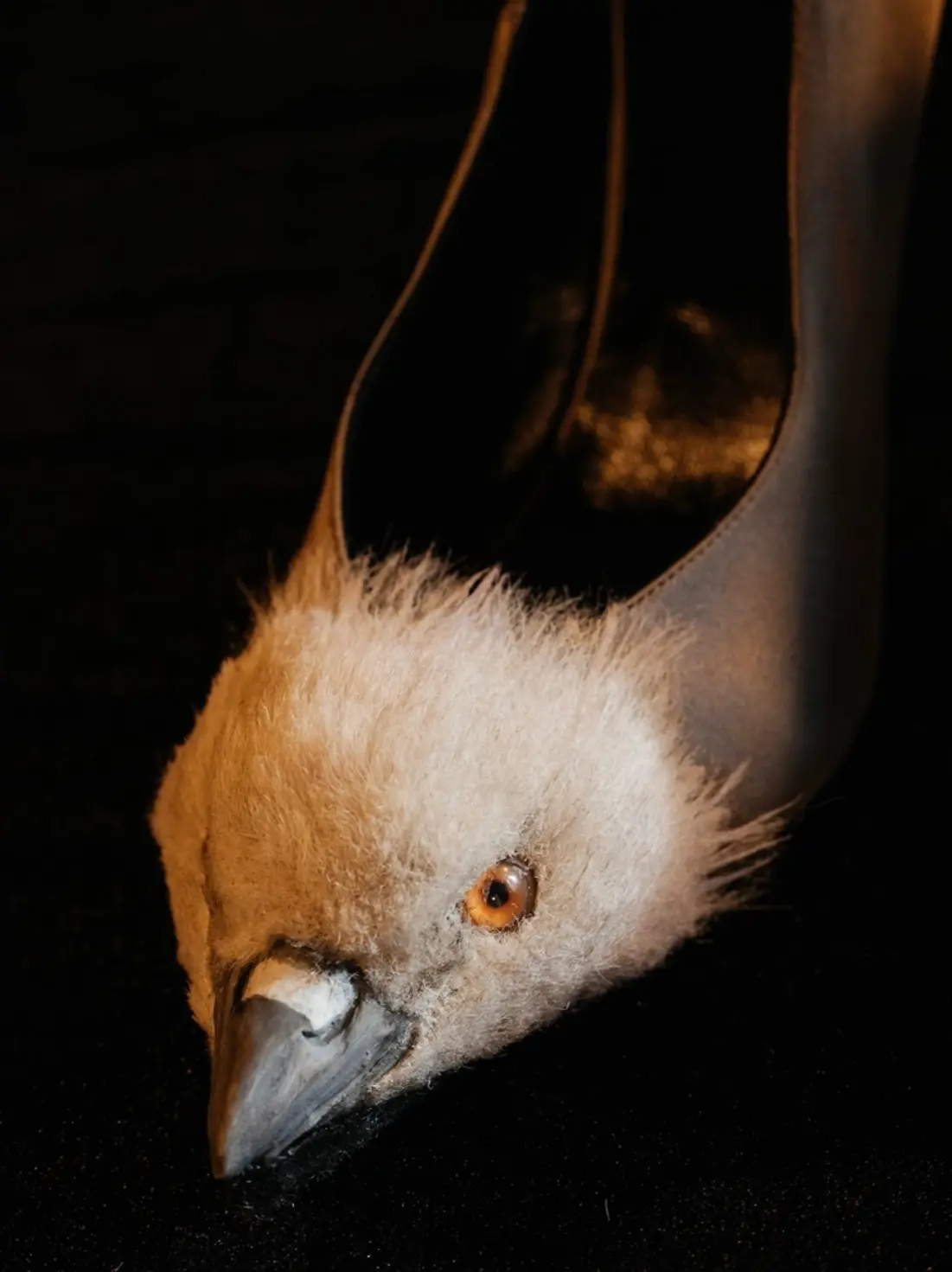 The Venomous Schiaparelli Couture of Daniel Roseberry 16