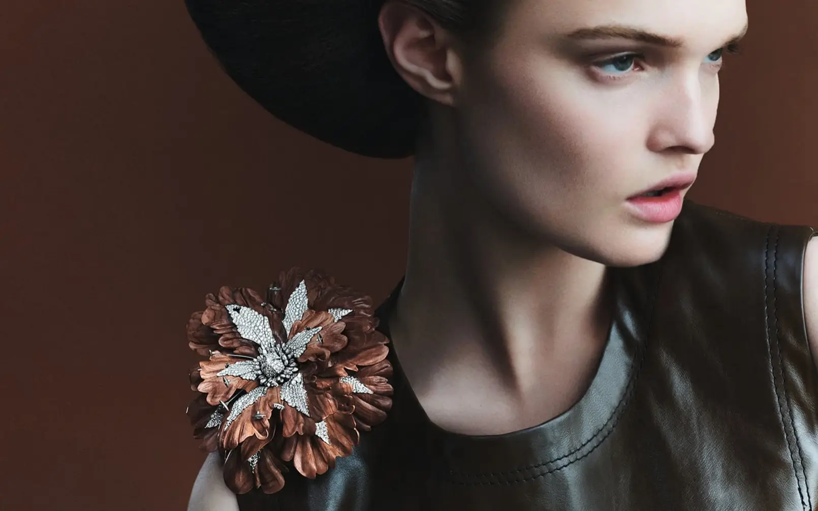 Boucheron Palissandre Santos wood, diamond and white gold Bois Diamond brooch Jewellery