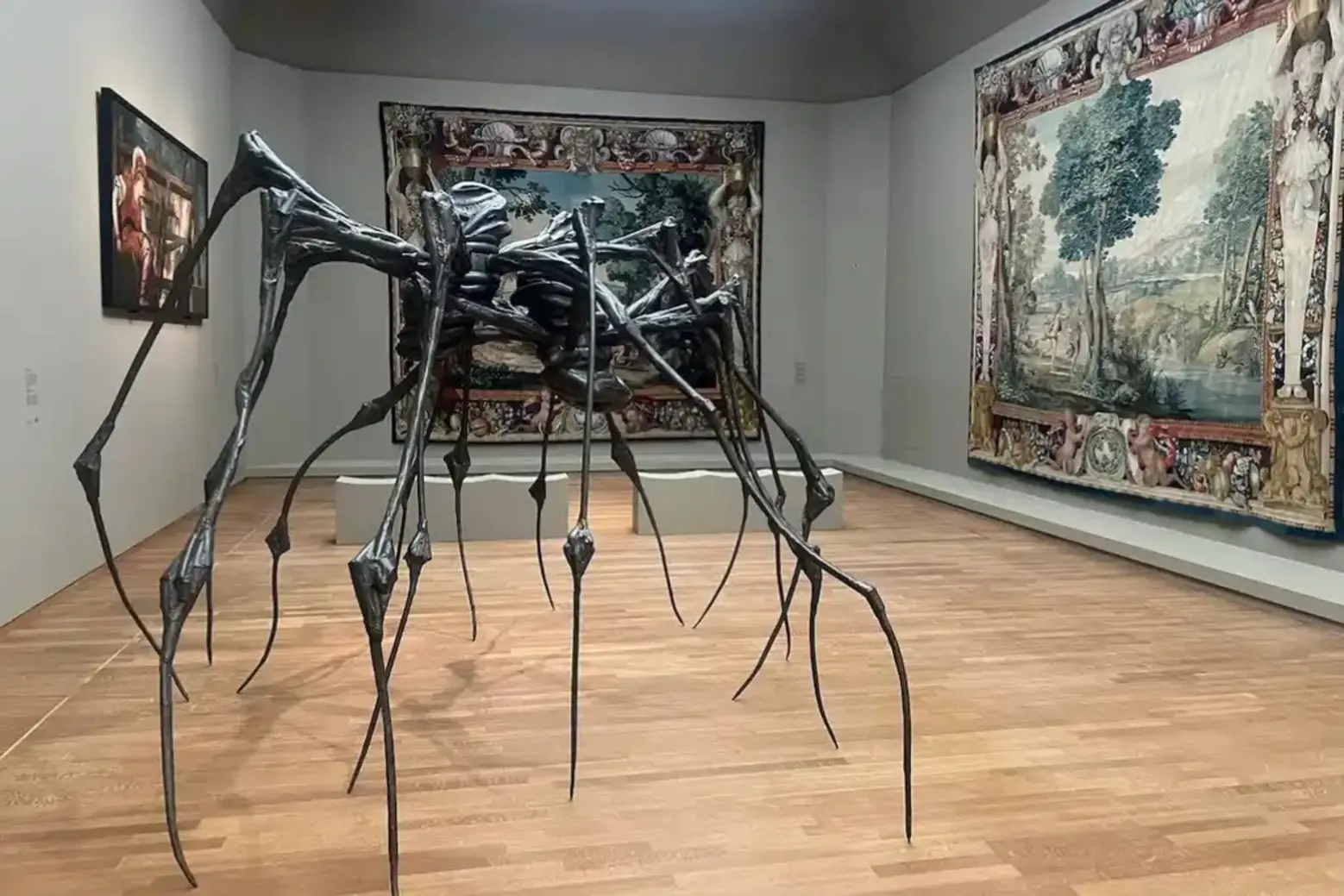 Metamorphoses display