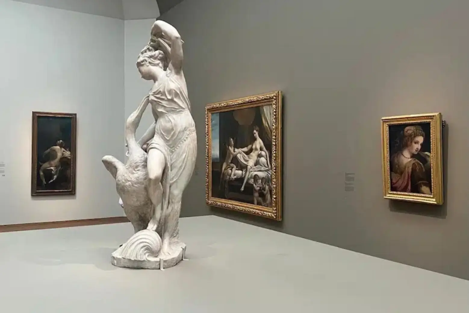 Metamorphoses display 2