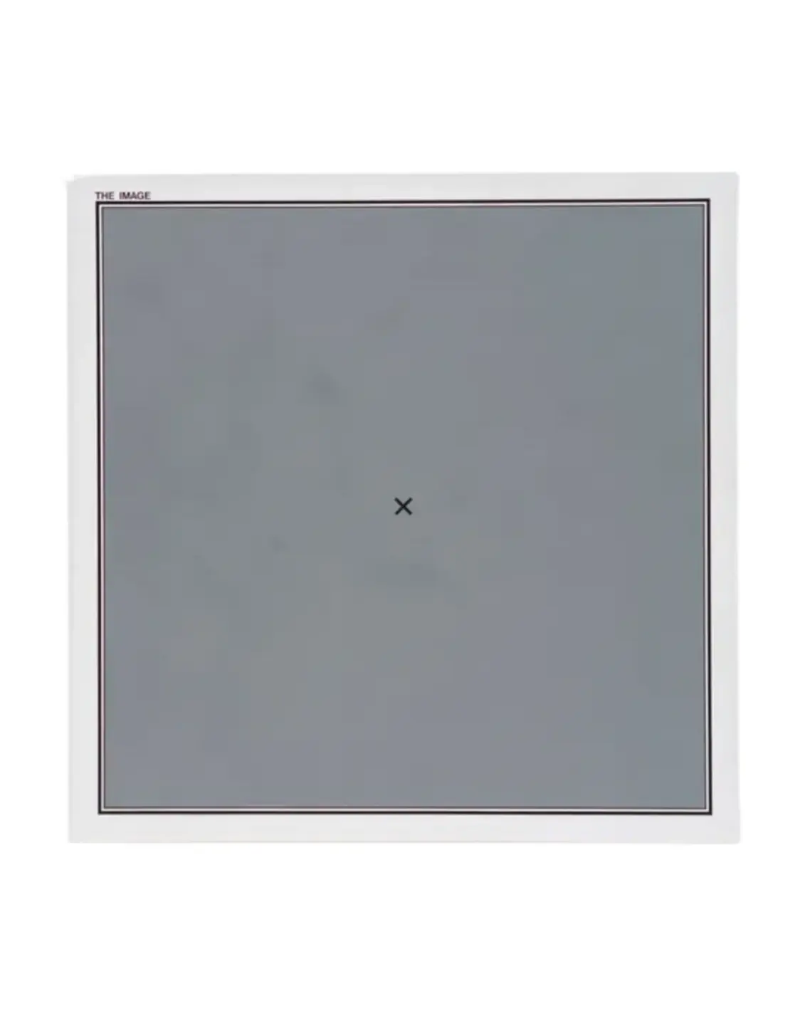 Antonio Dias / Image + Mirage art 4