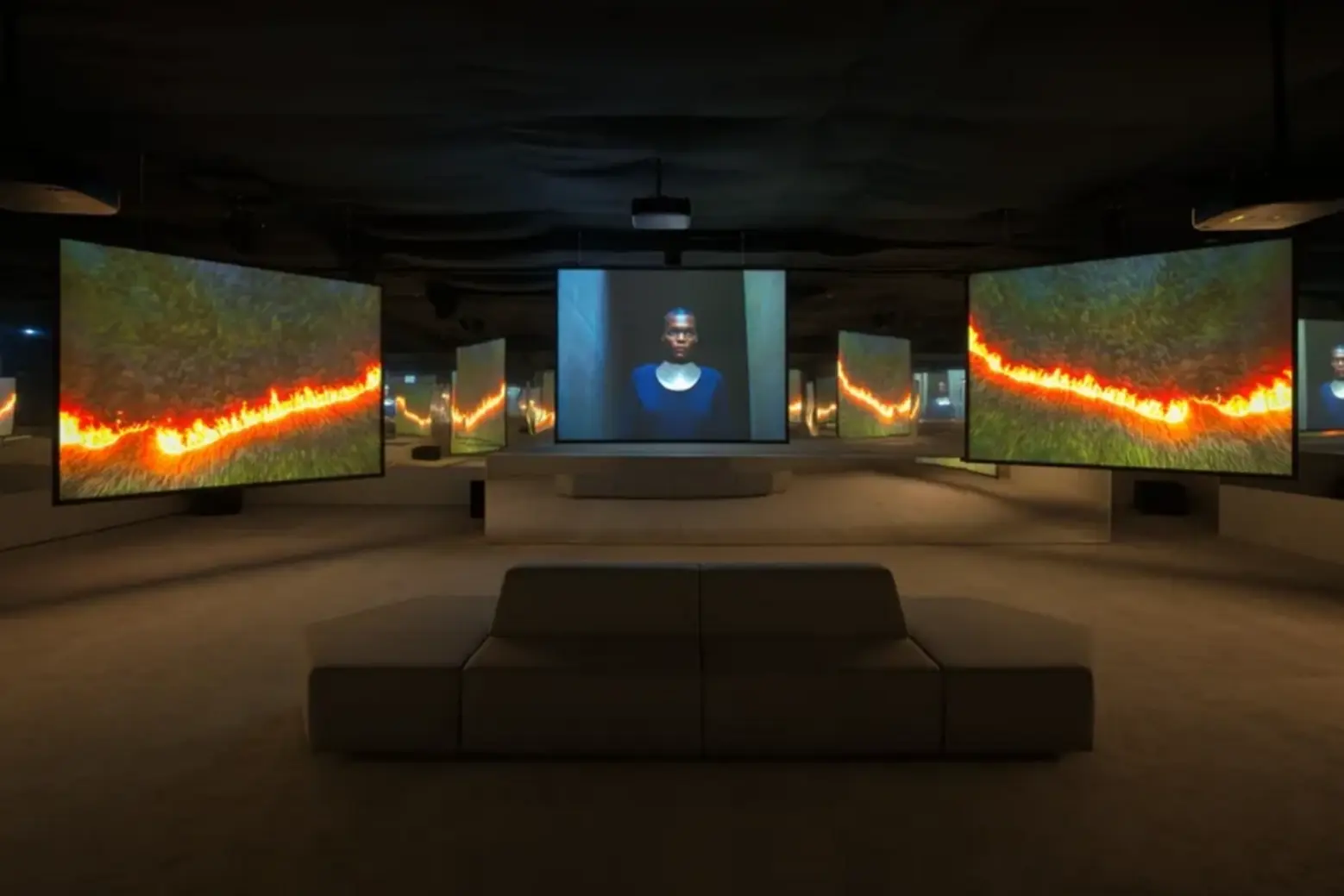Isaac Julien All That Changes You. Metamorphosis