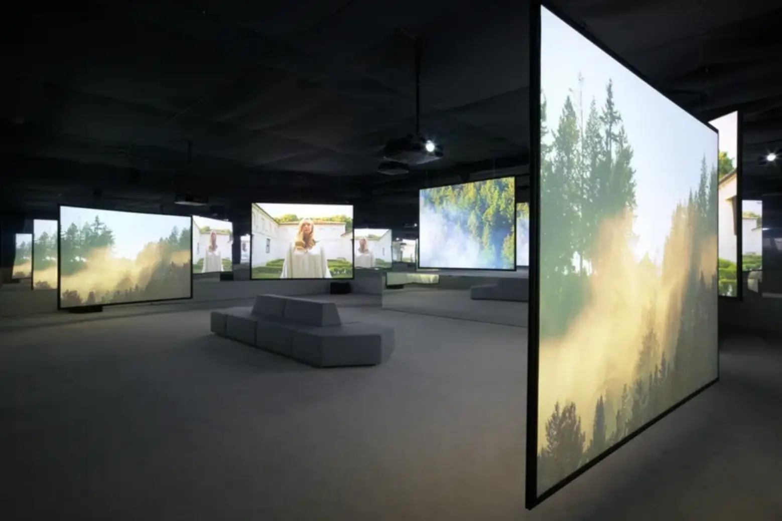 Isaac Julien All That Changes You. Metamorphosis 2