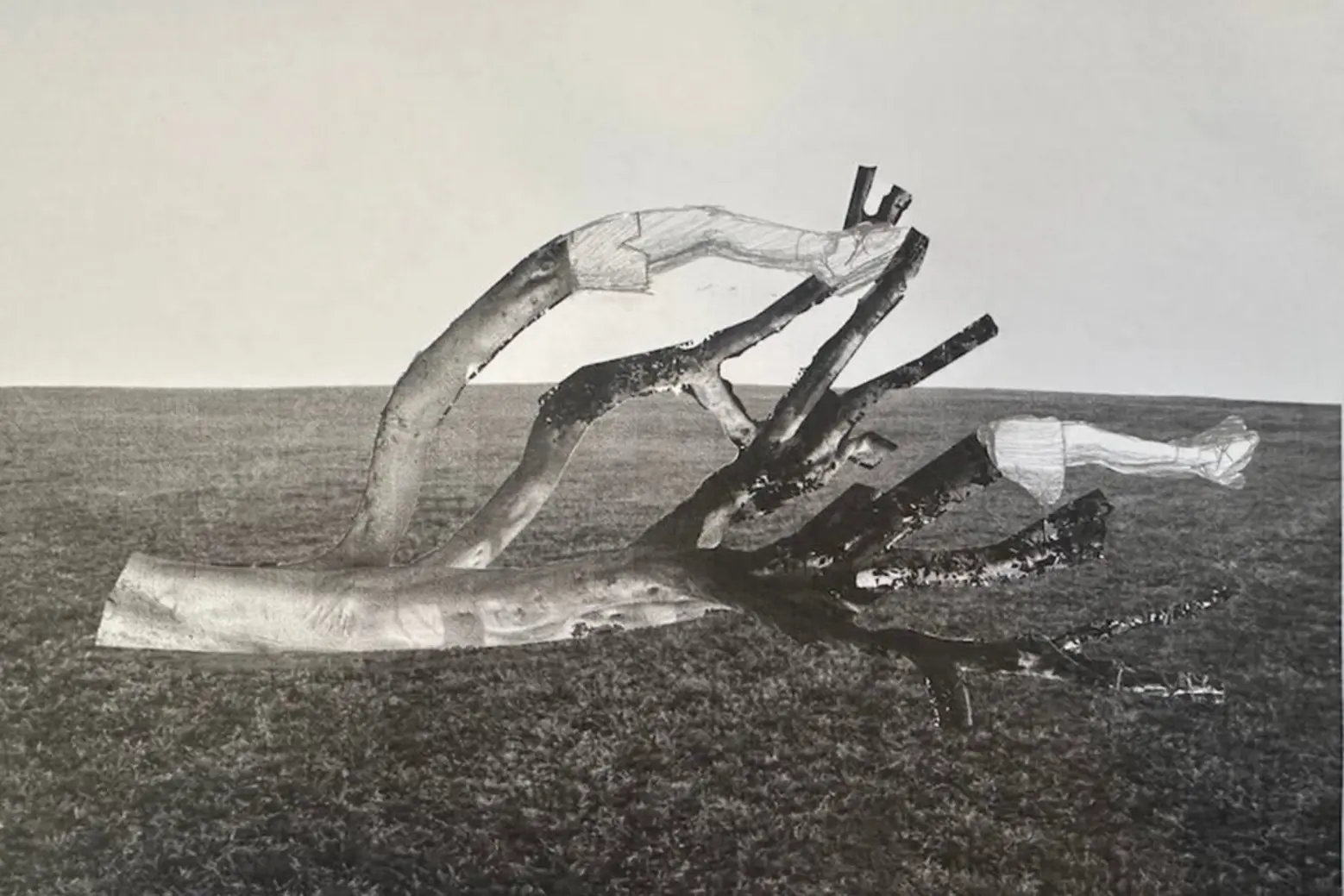 Frieze Los Angeles 2026 4