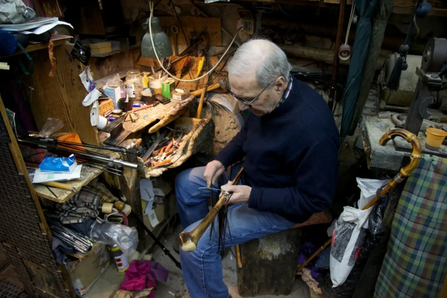 Talarico Mario Talarico