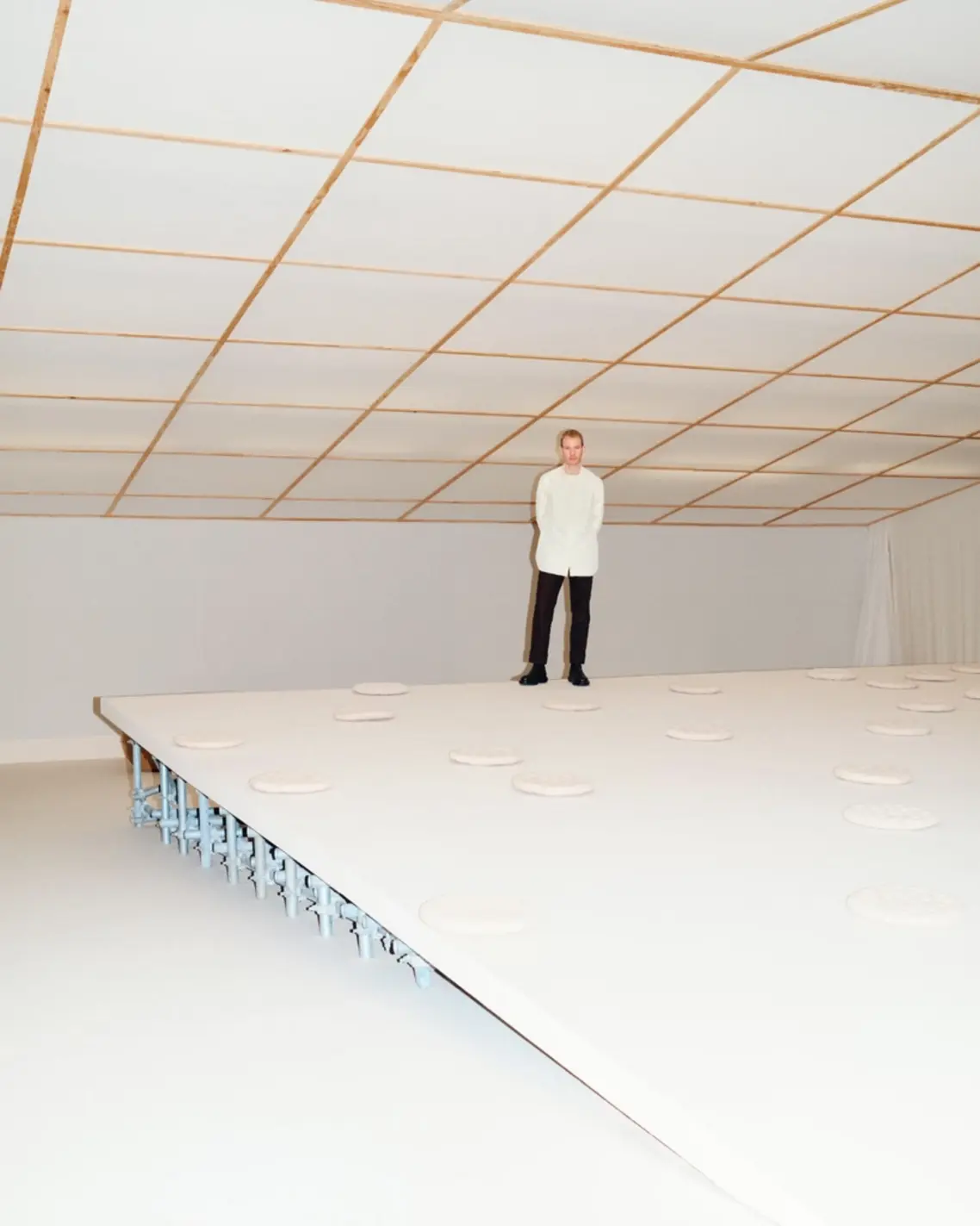 MATTER and SHAPE Willo Perron