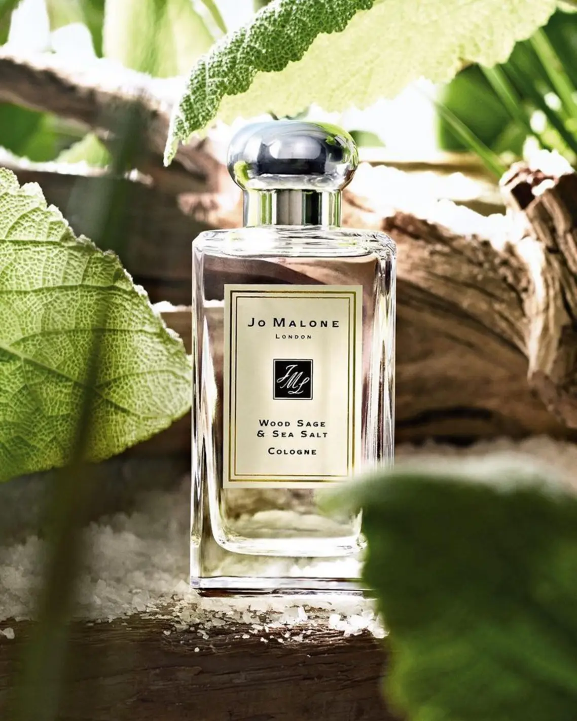 Jo Malone's Wood Sage & Sea Salt perfume
