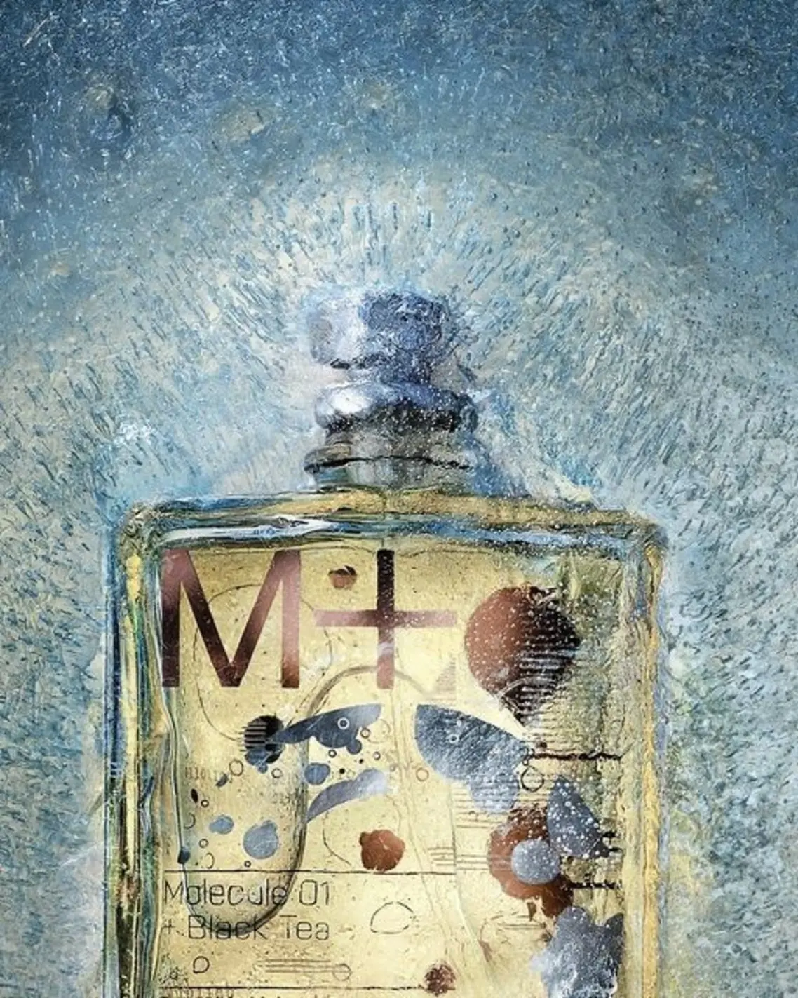 Escentric's Molecule 01 + Black Tea perfume