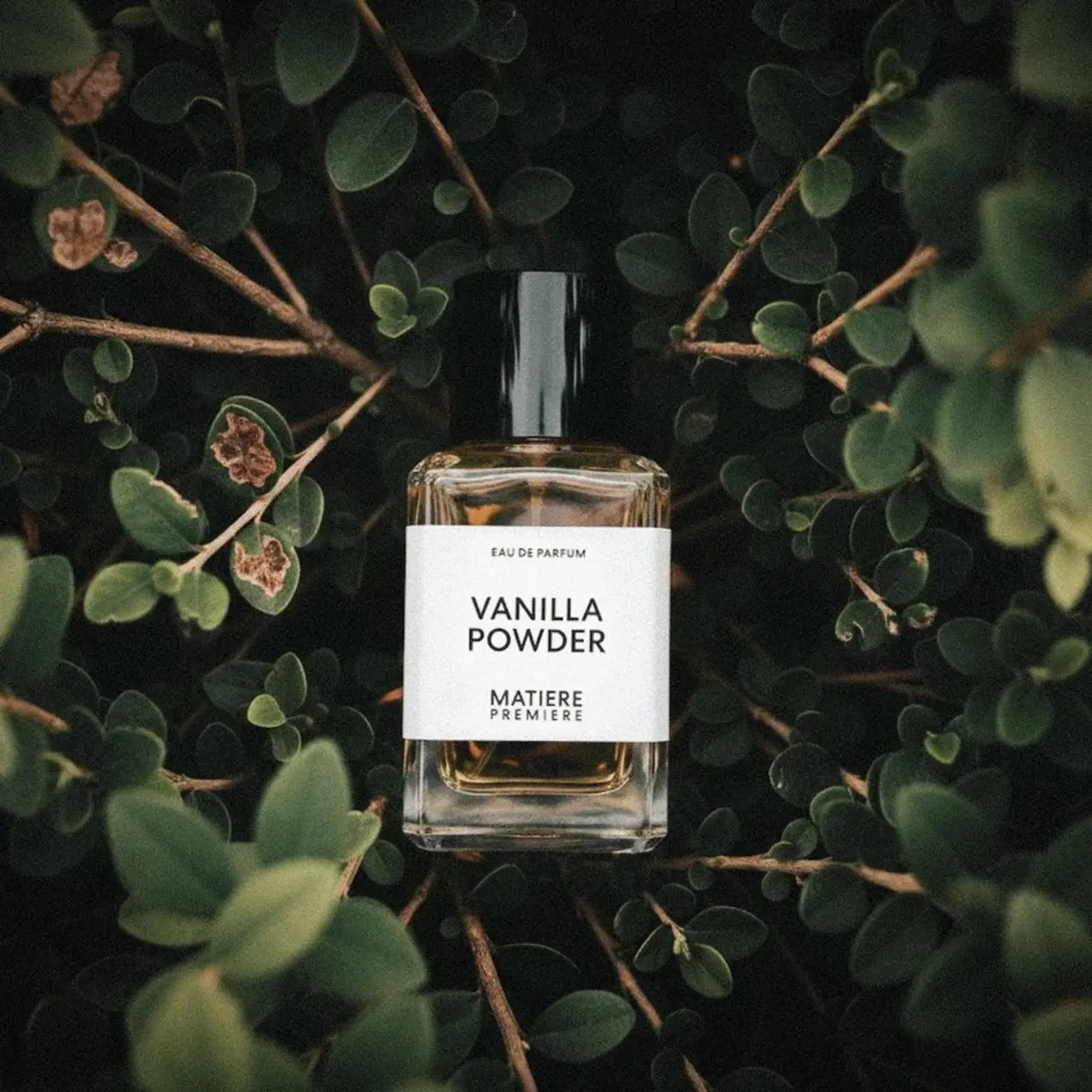 Matière Première Vanilla Powder Perfume Layering