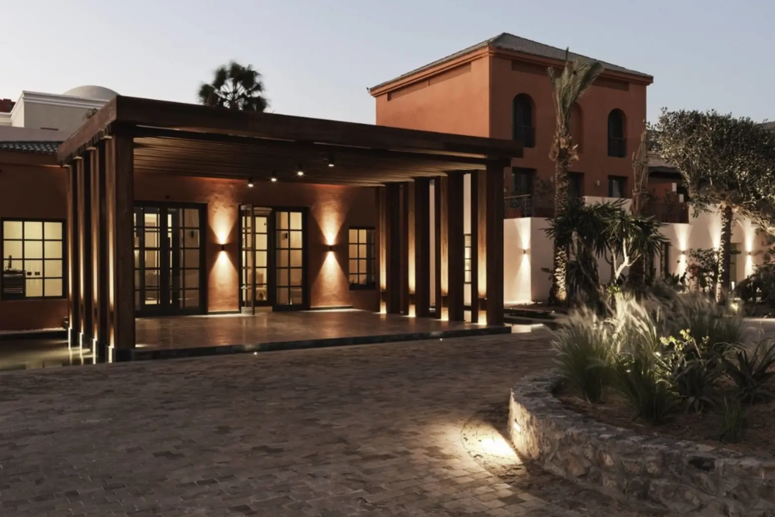 Hurghada coral beauty