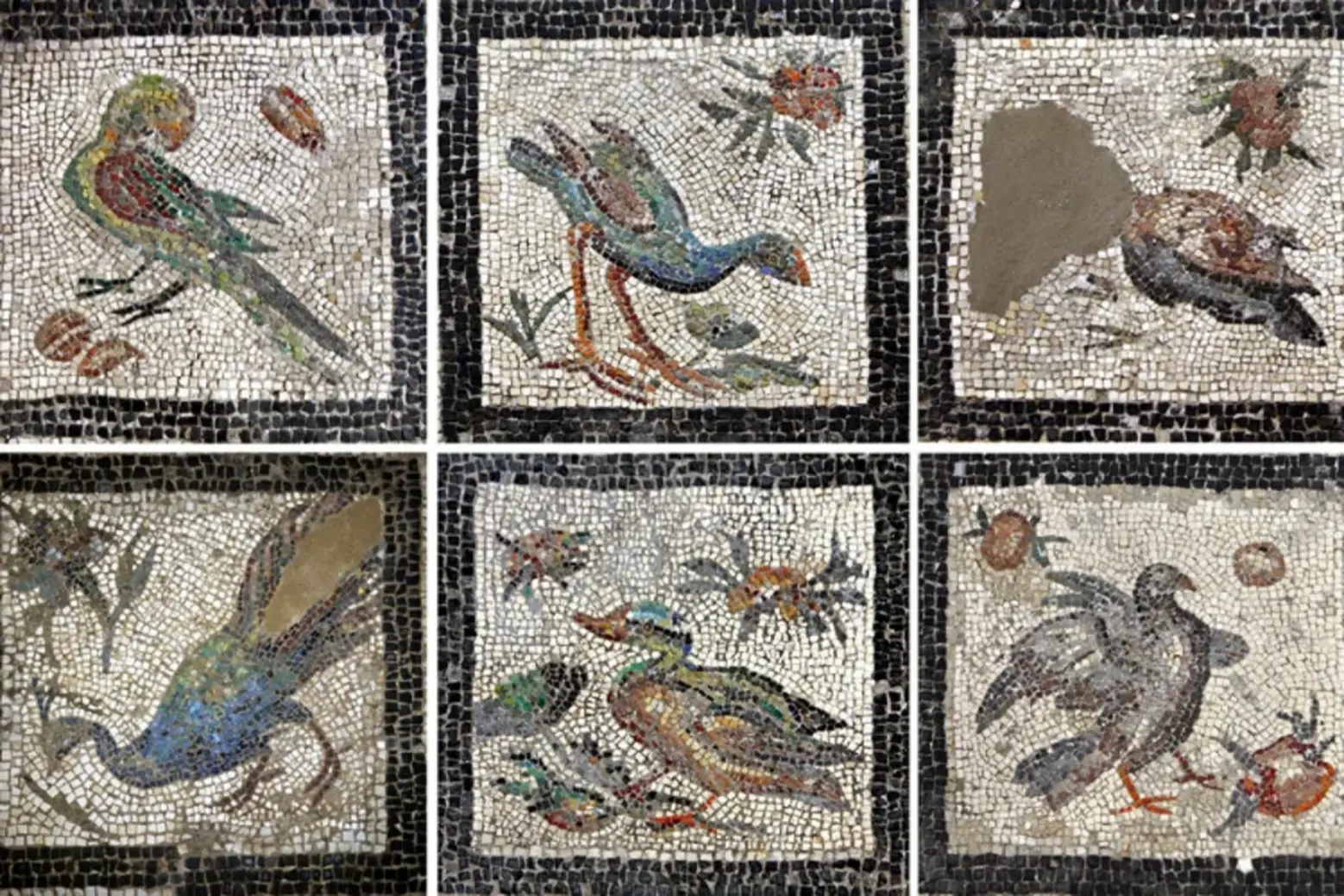 Alexandria the Mediterranean Kom el-Dikka with iconic bird mosaics 2