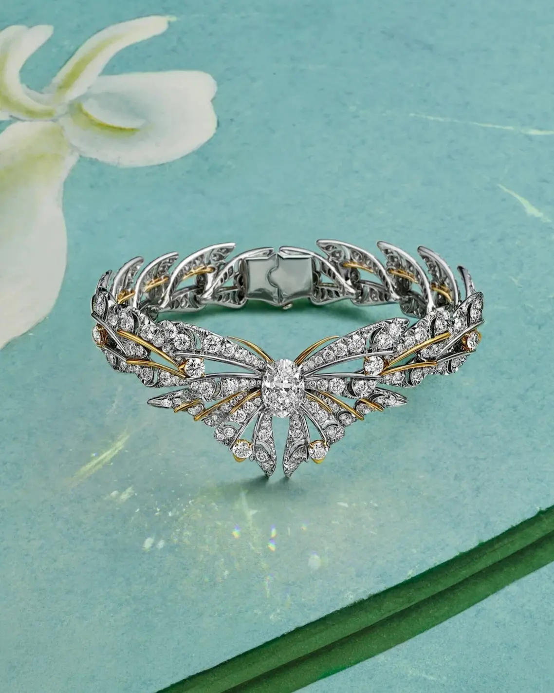 Blue Book 2026: Butterfly