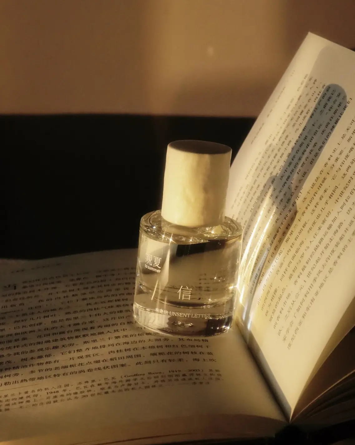 Unsent Letter 信 from Pure Summer Collection 1