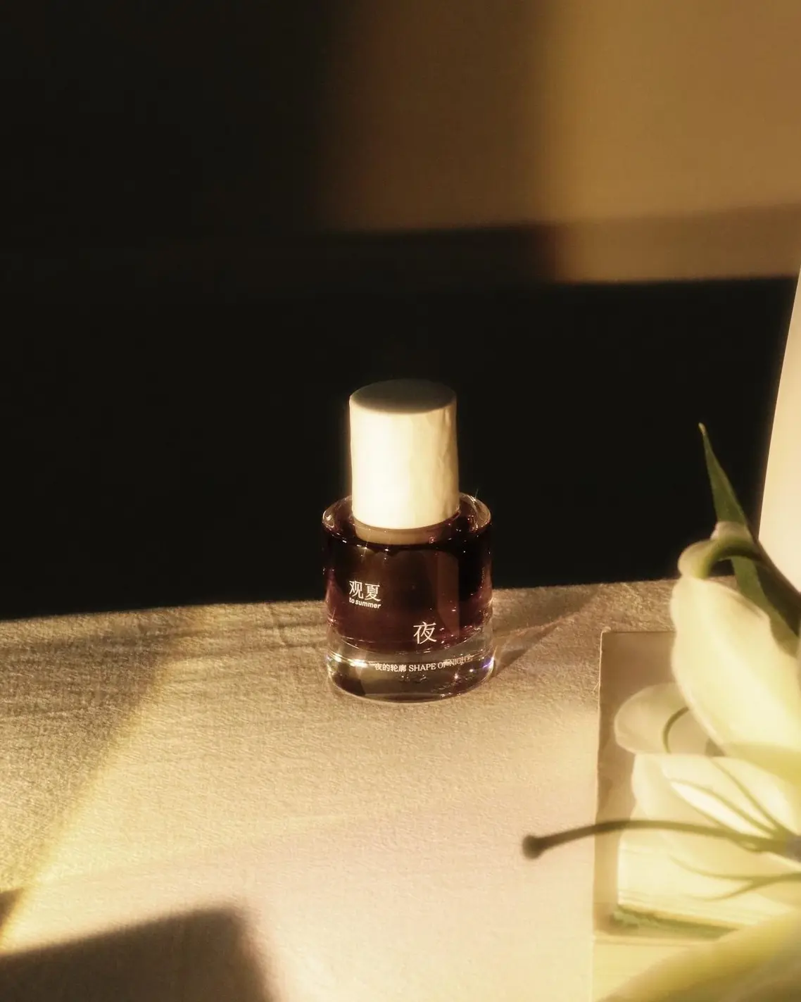 Shape of Night 夜 from Pure Summer Collection 1